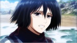 Bittersweet smile Mikasa Meme Template