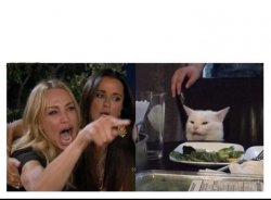 Woman Yelling at Cat Meme Template