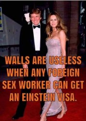 visa hoe Meme Template