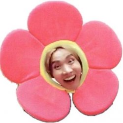 Flower J-Hope Meme Template