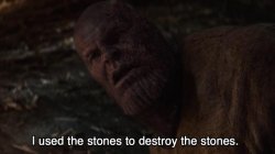 I used the stones to destroy the stones Meme Template