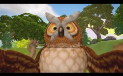 Mr Owl Meme Template