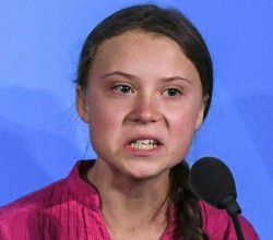 Greta Thunberg angry Meme Template