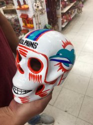 Miami Dolphins Painted Skull Meme Template