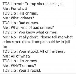 liberal Meme Template