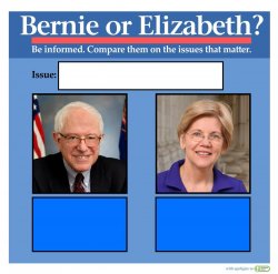 Bernie or Warren Meme Template