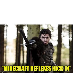 Minecraft Reflexes Meme Template