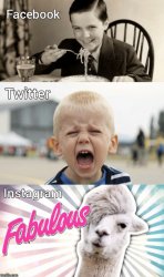 Facebook vs Twitter vs Instagram Meme Template