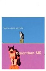 Better I see no God cat Meme Template