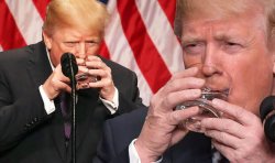 Trump drinking water like a nazi Meme Template