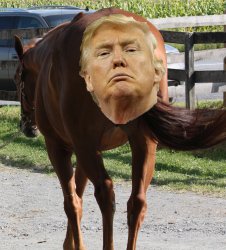 Donald Trump, the Horse's Ass Meme Template