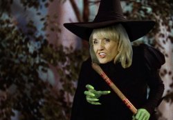 wicked witch Meme Template