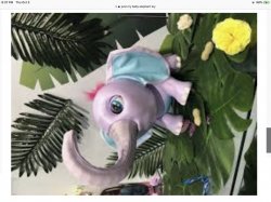 Juno the Baby Elephant!! Meme Template