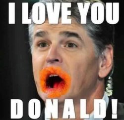 Hannity in his native condition Meme Template
