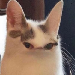Mine goodeth sir Meme Template