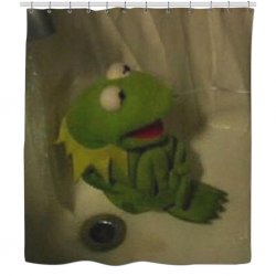 Kermit Shower Meme Template