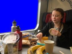 Greta Thunberg Lunch in Denmark Meme Template