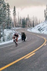 Bear running after cyclist Meme Template