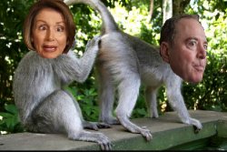 Nancy Pelosi and Adam Schiff Meme Template