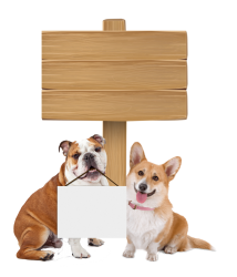 Dogs holding blank sign edit text. Meme Template