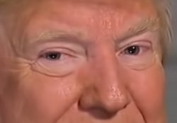 Trump eyes dilated Meme Template