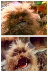 Freakout Fizzgig Meme Template