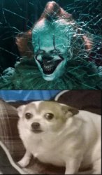 Pennywise - Patrick Meme Template