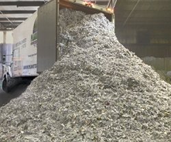 shredded paper Meme Template