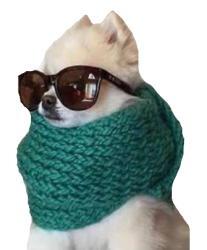 Bom dia rico Meme Template