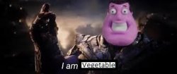 I am vegetable Meme Template