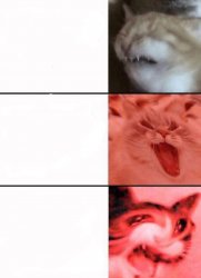 Crying cats Meme Template