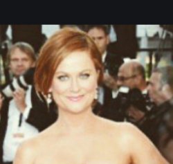 REDHEAD AMY POEHLER!!!!!!!!!!! Meme Template