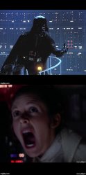 Star Wars Leia no Meme Template