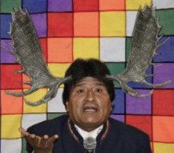 Evo morales cornudo Meme Template