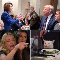 cat in the white house Meme Template