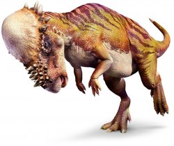 Pachycephalosaurus Meme Template