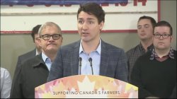 Trudeau and his backdrop minions Meme Template