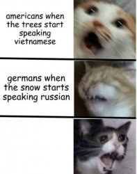 Cats freaking out Meme Template