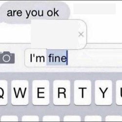 Im fine Meme Template