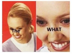 The What Meme Template
