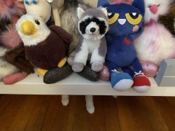 Stealth level: intermediate Meme Template