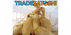 Tradesatoshi DOGE Meme Template