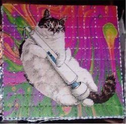 cat masturbating with mains powered Hitachi on acid quilt Meme Template