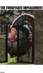 The TurkeyGate Impeachment Meme Template