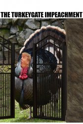 The TurkeyGate Impeachment Meme Template