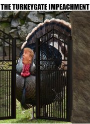 The TurkeyGate Impeachment Meme Template