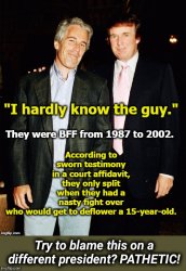 Epstein's partner in the orgies was...Trump Meme Template