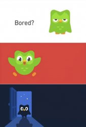 Duolingo Bored 3-Panel Meme Template