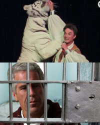 Jeffrey Epstein Meme Template