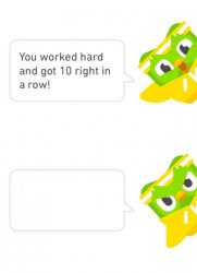 Duolingo 10 in a Row Meme Template